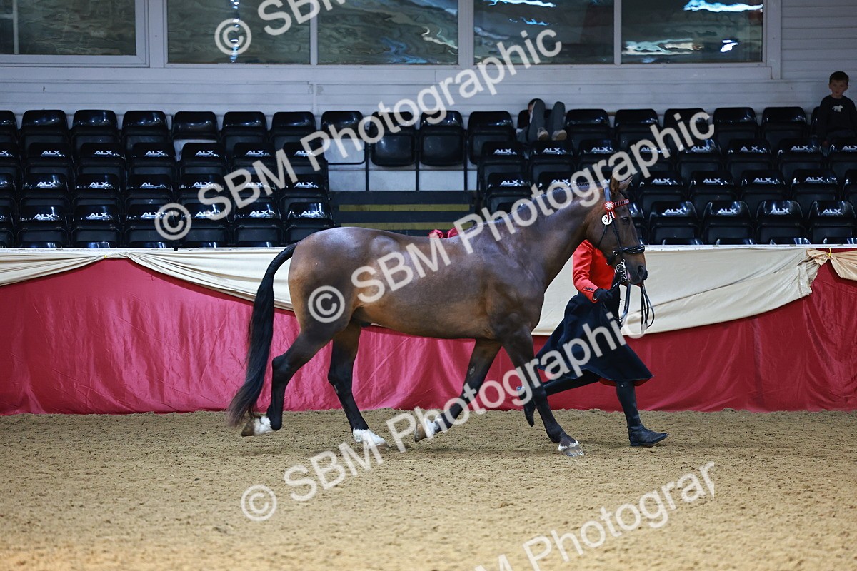 SBM_22356 - Class 902 - Supreme Final - IH Diamond