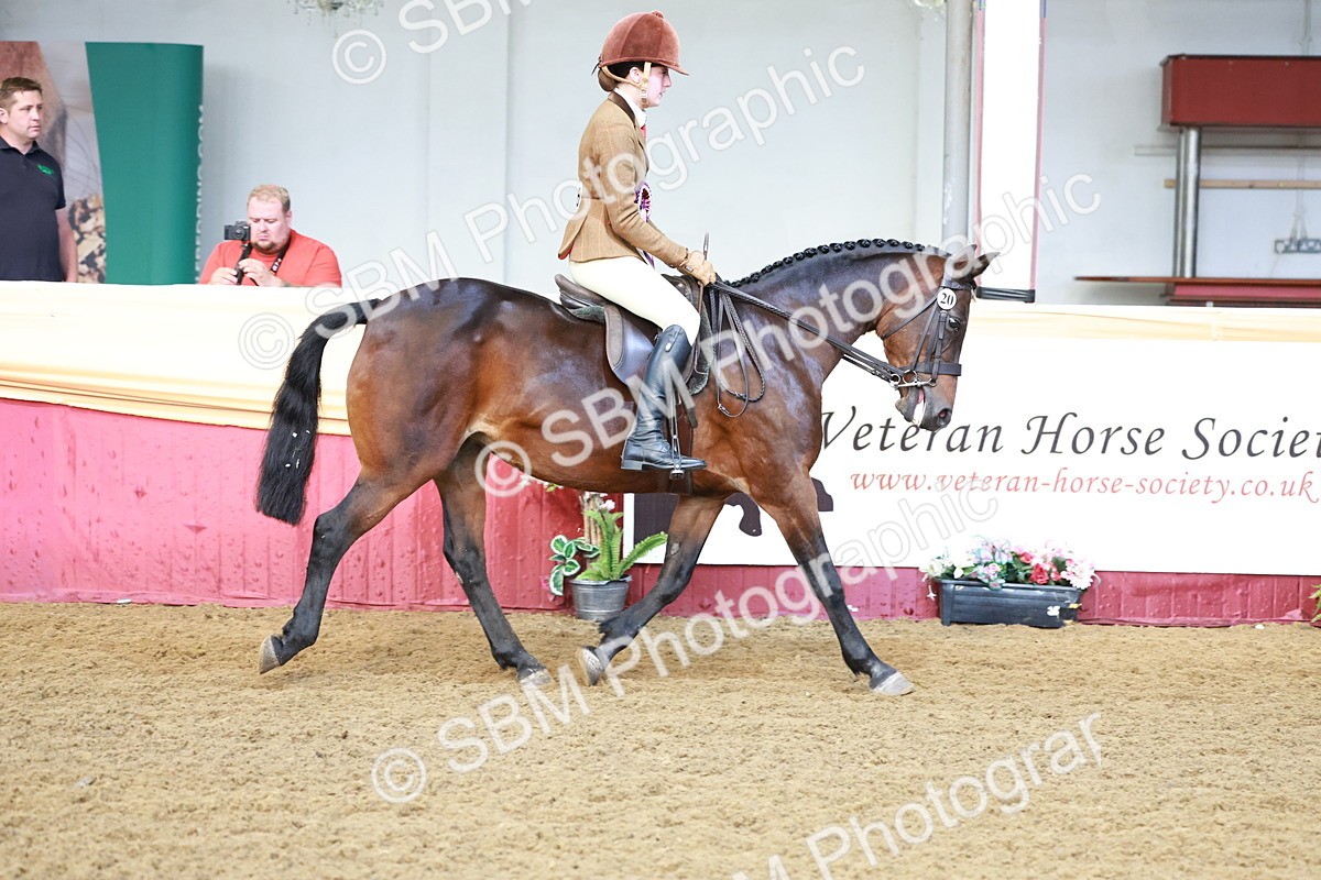 SBM_12026 - Class 102 - Equitation (Best Rider) Adult