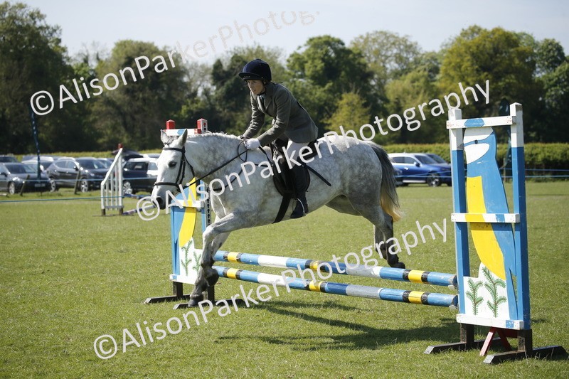 20250427-2076 - Class 13 - Novice Jumping 60cm