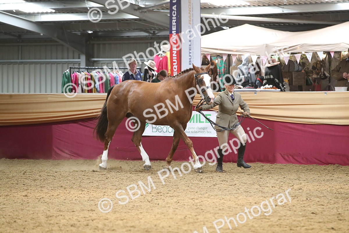 SBM_05660 - Class 9R - Regional IH Pre-Vet