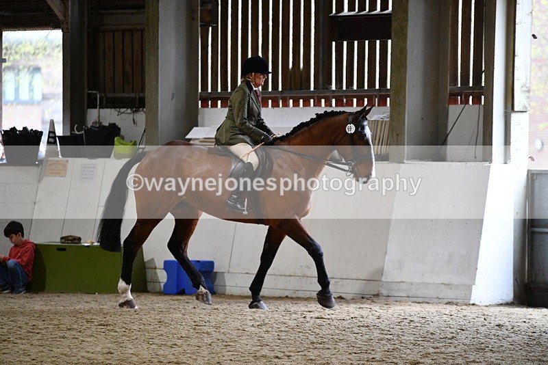 WJ5_8980 - Class 15 Ridden Show Horse