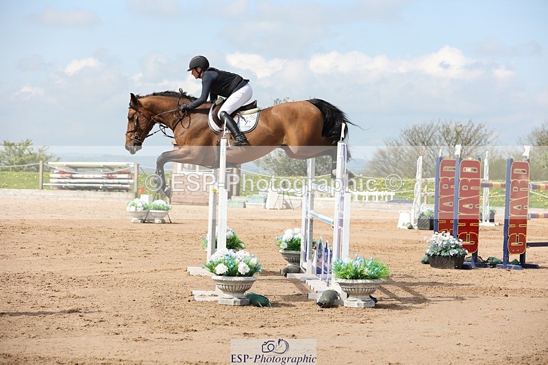 250427-111017-15839 - Cls 36 Young Horse 7yr old