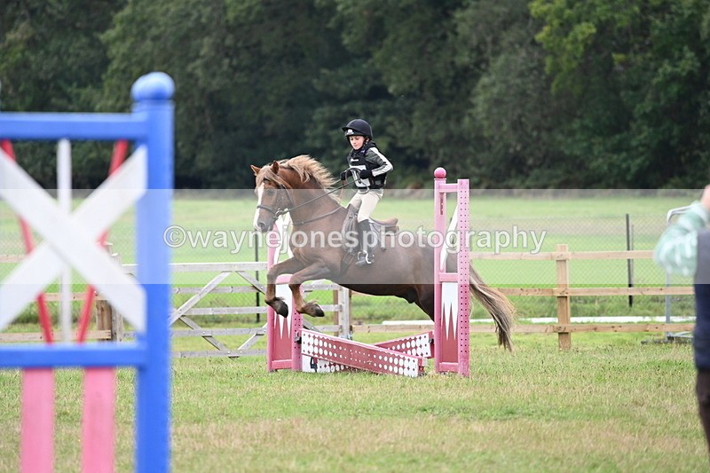 WJ6_0291 - 40cm Time 10:00 to 10:28