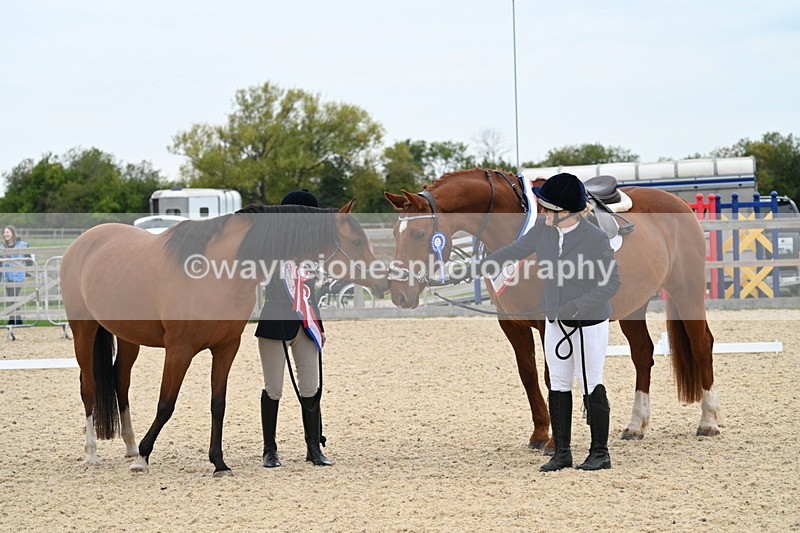 WJ7_1981 - Class 1 & Champs