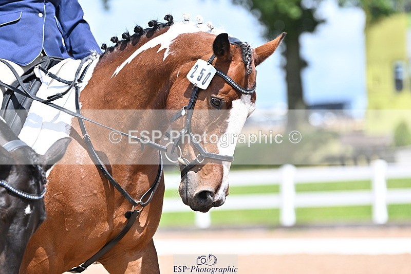 240706A-140406-03132 - Cls 7 Pairs