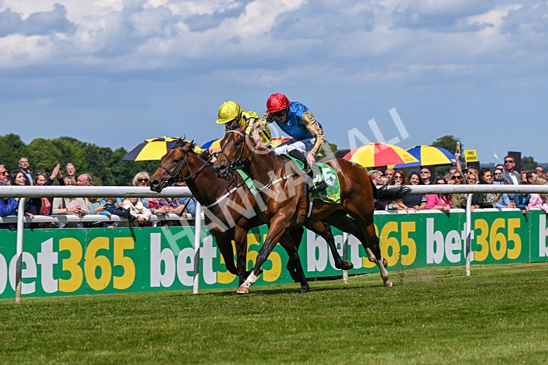 080624-Race 3-Shareholder-1031 - Race 3