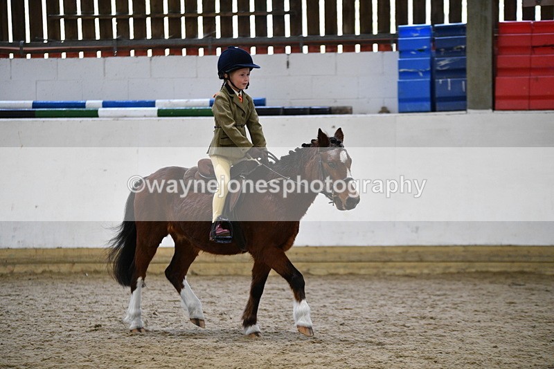 WJ5_6976 - Class 10 Childs Pony