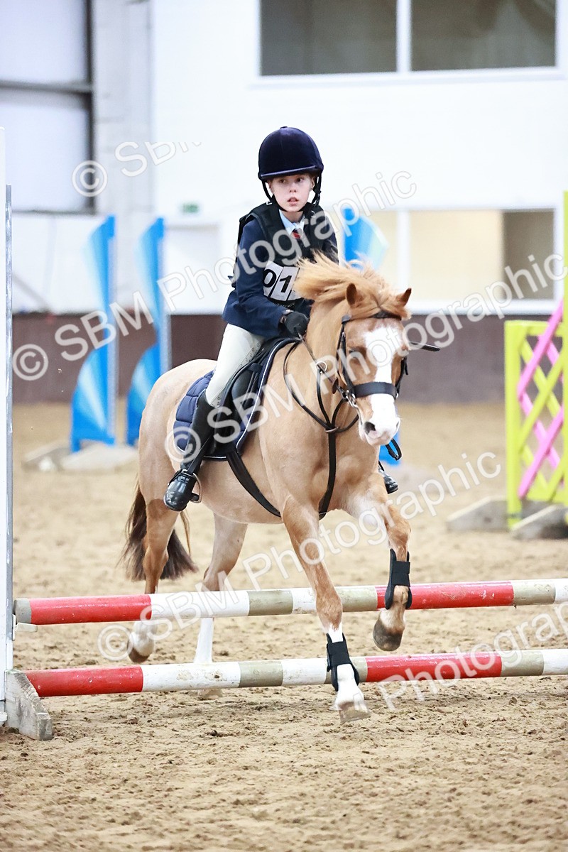 SBM_000426 - Class 2 - 50cm