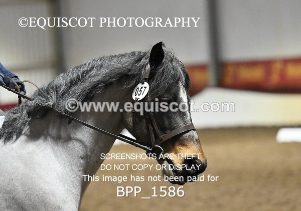 BPP_1586 - PC PRELIM 70