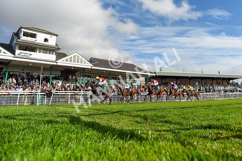 191024-Race 1-Obligatory-2074 - Race 1