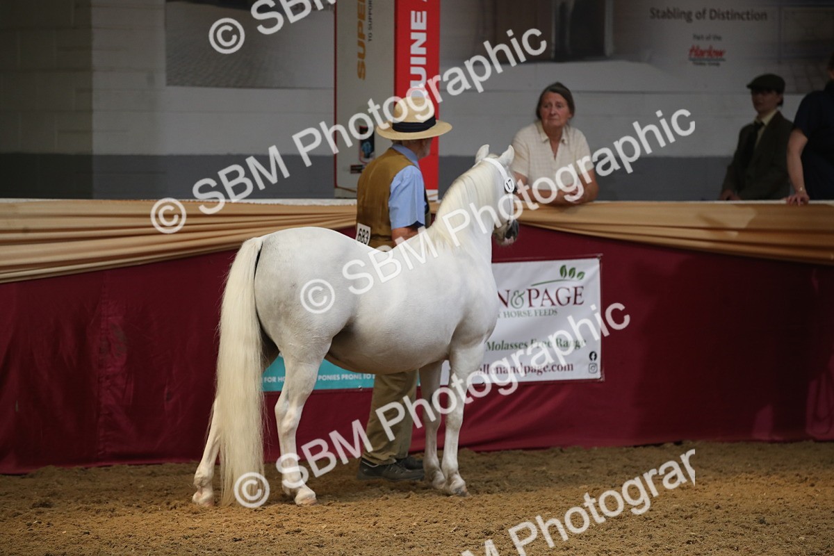 SBM_05571 - Class 9R - Regional IH Pre-Vet