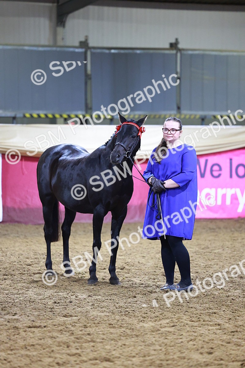 SBM_15544 - Class R - Veteran Champ