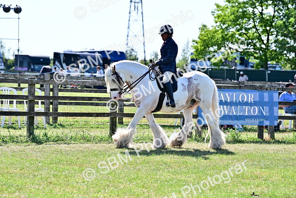 SBM_19400 - Class 101-102 - BSPS LIHS Performance Coloured Horse/Pony