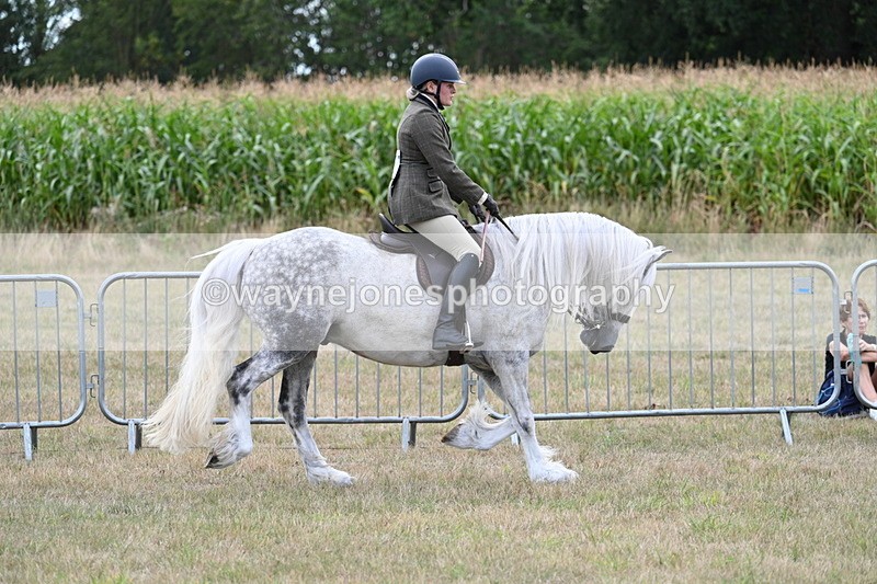 WJ7_5271 - Class 12 Ridden Cob