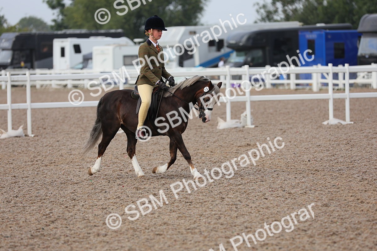 SBM_09611 - Class 301 Ridden M&M -Small Breeds