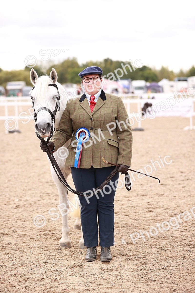 SBM_16143 - Class 411 - Prettiest Mare - (IH or Ridden Adult)