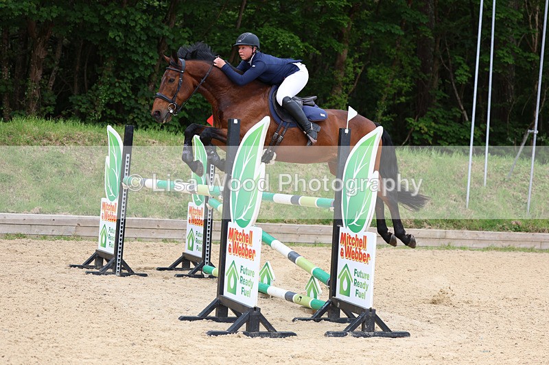 3E7A9697 - Class 9: Senior Foxhunter/1.20 open