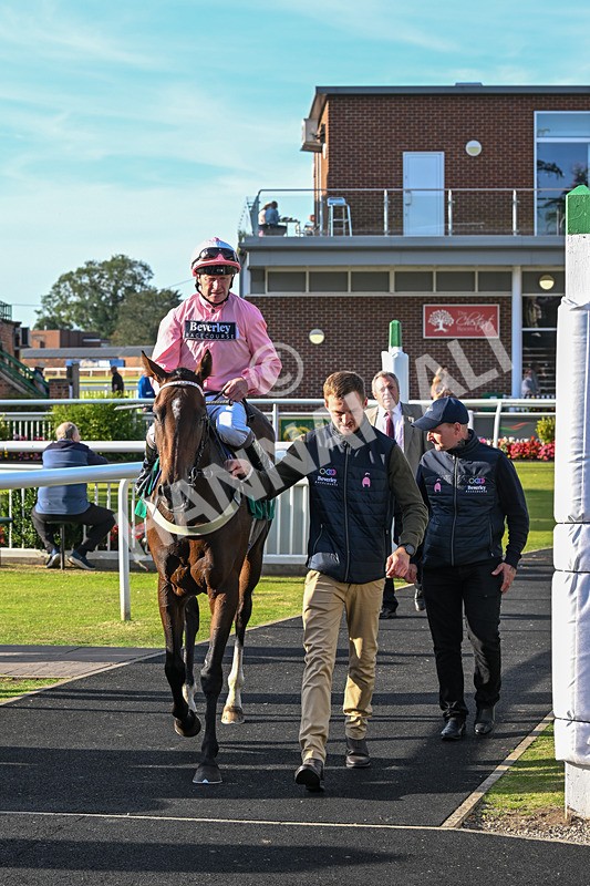 160924-Race 7-Style Of Life-3292 - Race 7