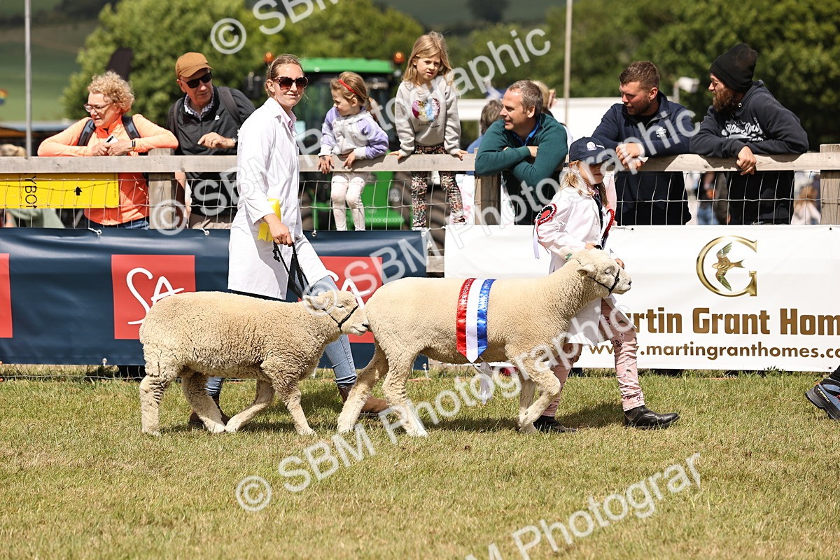 SBM_16839 - Grand Parade