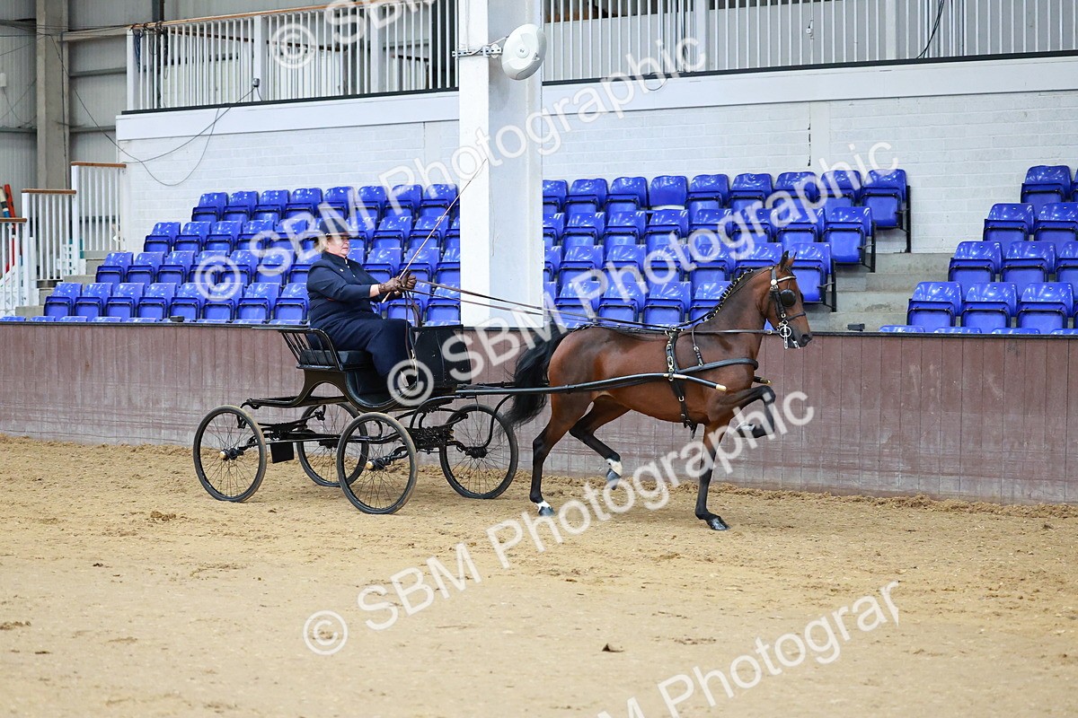 SBM_000668 - Class 9 - HHS Championship Intl Hackney Pony to a Showwagon