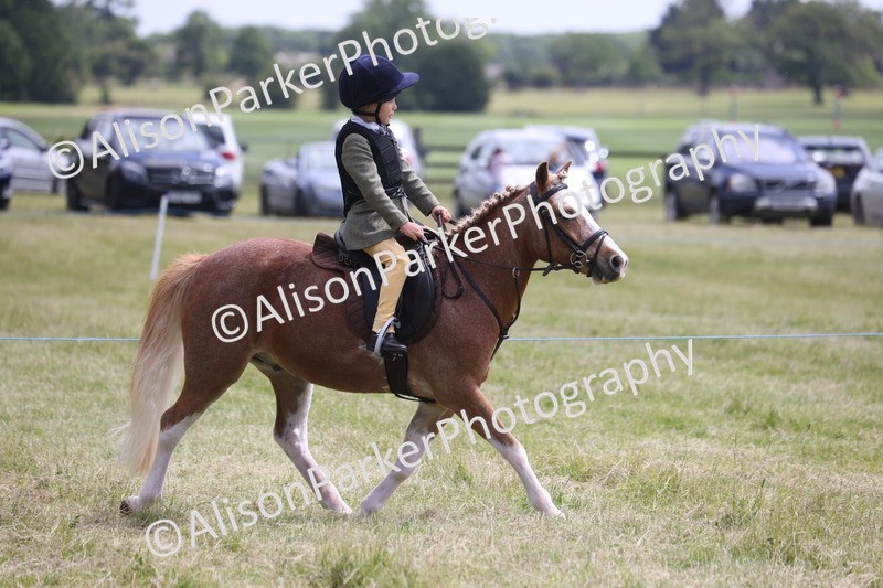 20260614-2054 - Class 21 - Novice Working Hunter Pony