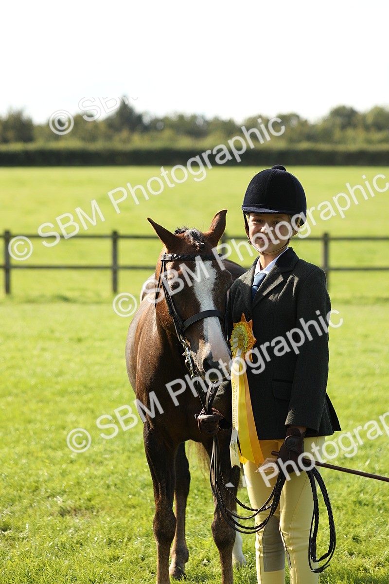 SBM_61067 - S44 - Part Bred Pony In hand