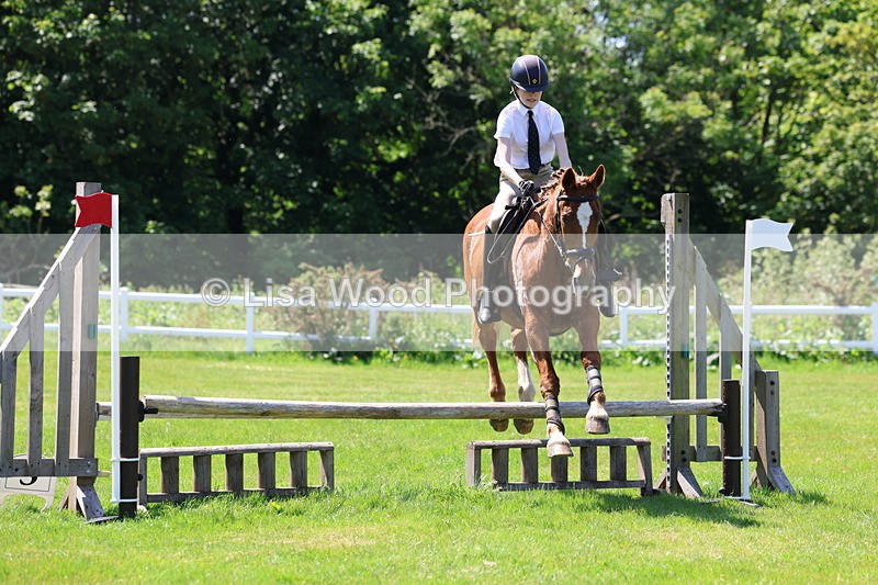 3E7A7111 - Class 30: Novice Working Hunter