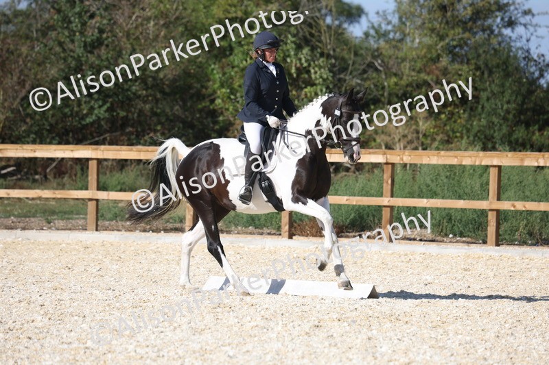20260905-1566 - Class 5 - Novice 2