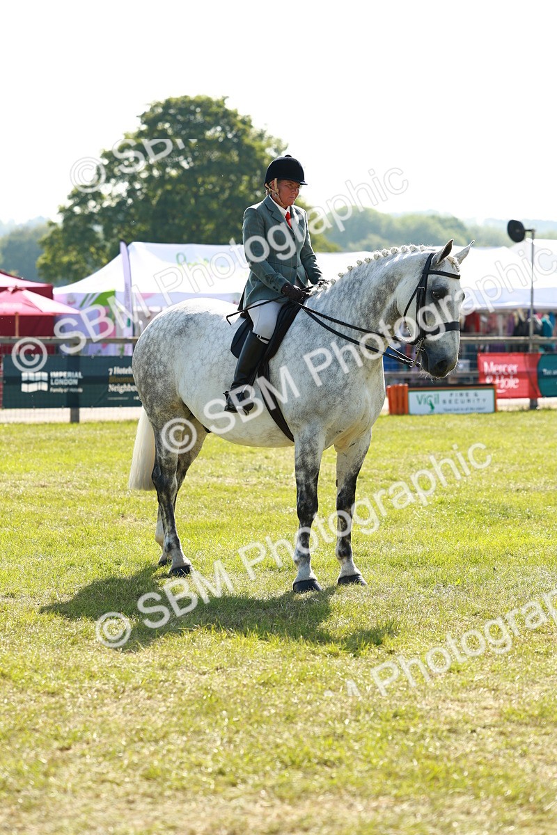 SBM_11837 - Class 66-69 - RIHS Ridden Hunters Inc Small Hunter