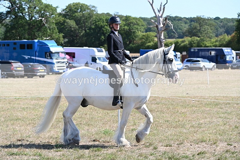 WJ6_8265 - Class 37a Best Loan Pony Ridden