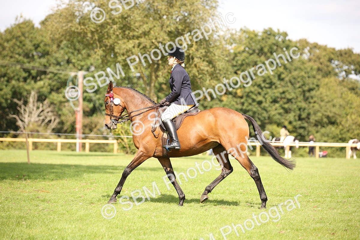 SBM_65936 - S64 - Riding Horse & Hack & Thoroughbred Ridden