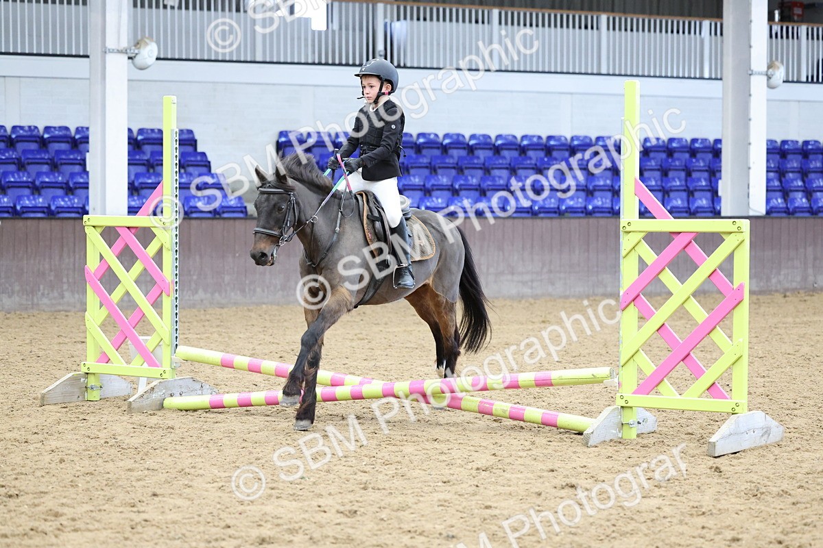 SBM_007061 - Class 1 - 40cm showjumping