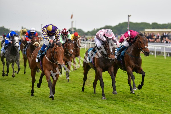 190523-Race 6-Eligible-1023 - Race 6 4.45pm Yorkshire Equine Practice Handicap