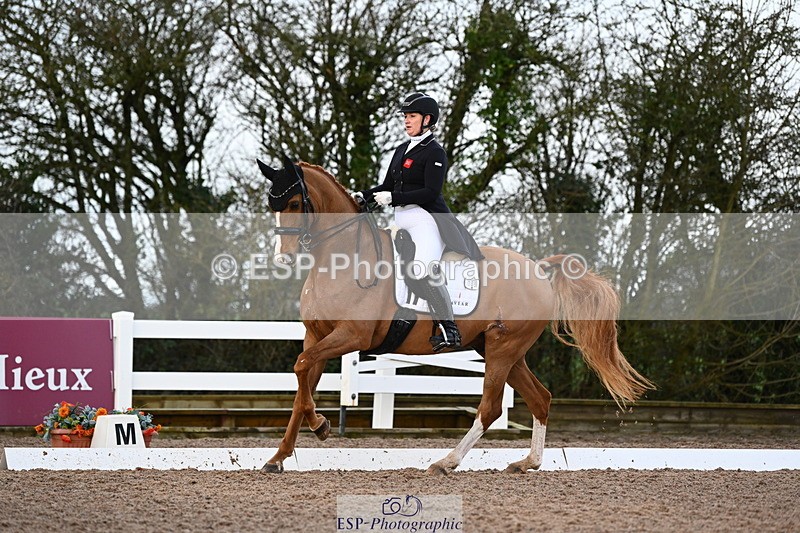 240218A-103846-06054 - 109-Sara.Gallop-Jovano