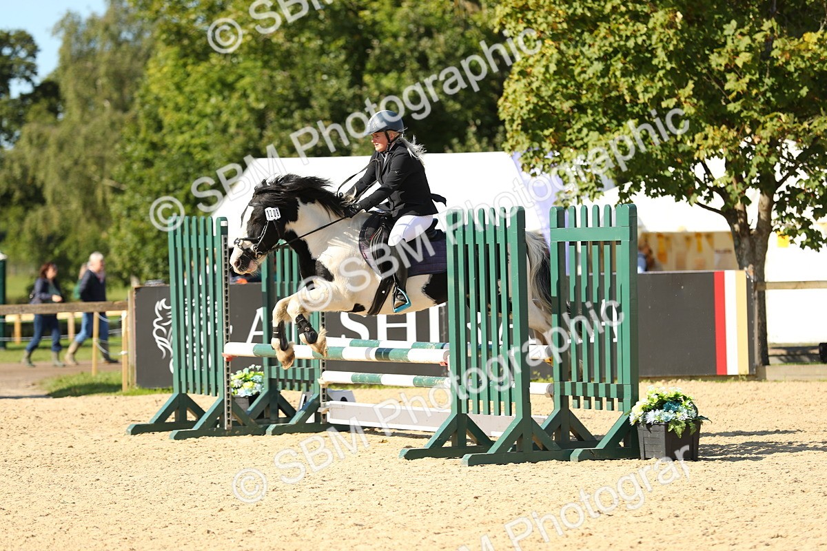 SBM_17725 - J33 - Senior 75cm Championship