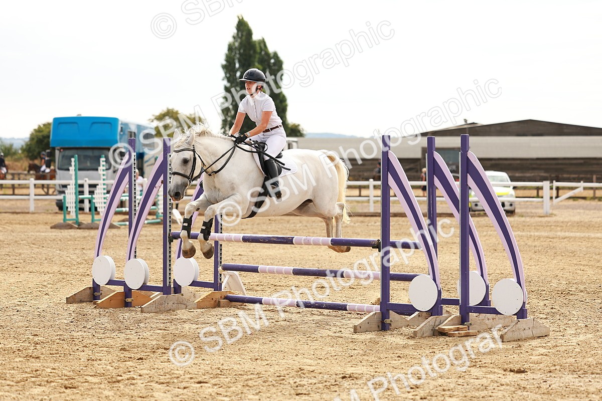 SBM_002139 - Class 9 - Senior British Novice - 90cm
