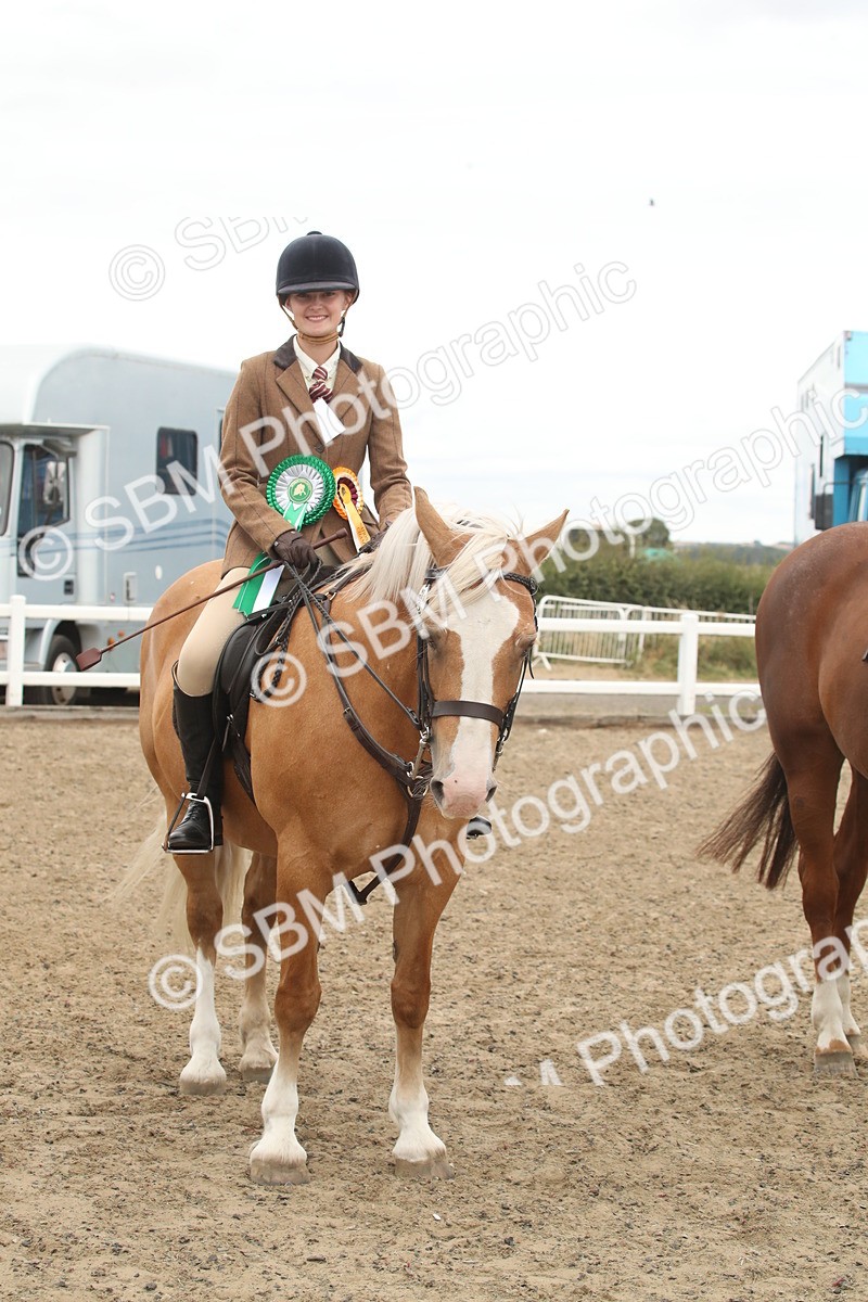 SBM_18314 - Class 509a - Working Veteran - 80cm (15-19)