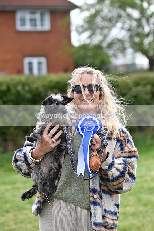 WJ5_9404 - Class 1 Best Cross Breed / Heniz 57