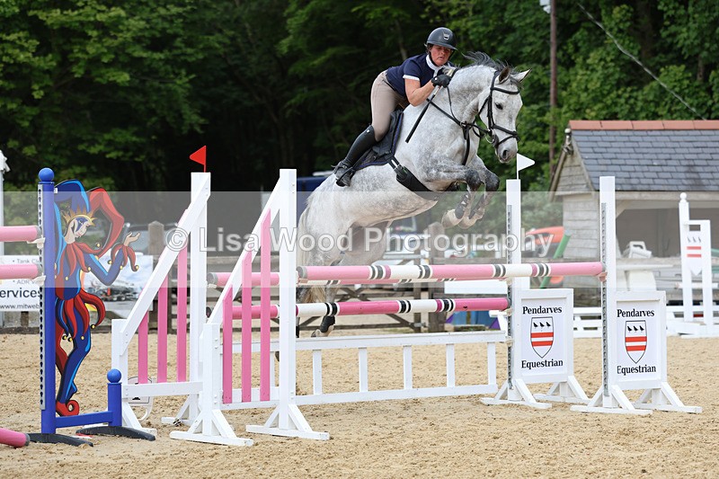 3E7A7568 - Class 8: Senior Foxhunter/1.20 open