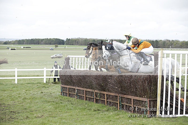 PtP 150320 0673 - New Forest Point-to-Point Larkhill 15/03/20