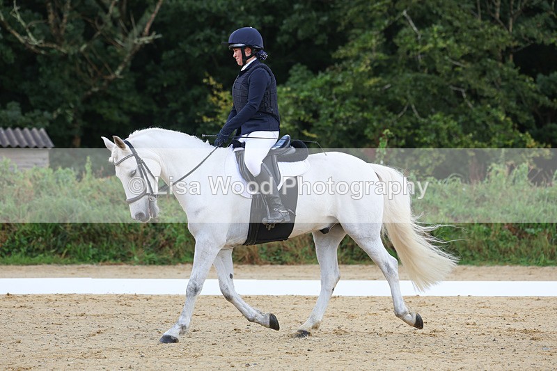 3E7A1972 - Class 1: Intro 4 2024 section A