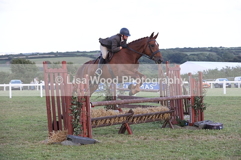 JPP_3673 - Class 24: Open Working Hunter