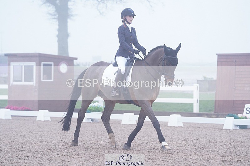 250215-103638-02829 - 143-Charlie.Cornish-Dali.Van.Het.Burghof.Z