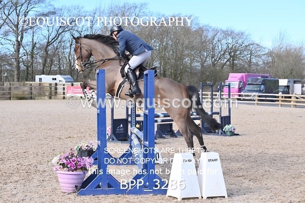 BPP_3286 - CLASS 2  Club/ Unaffiliated 80cms Open