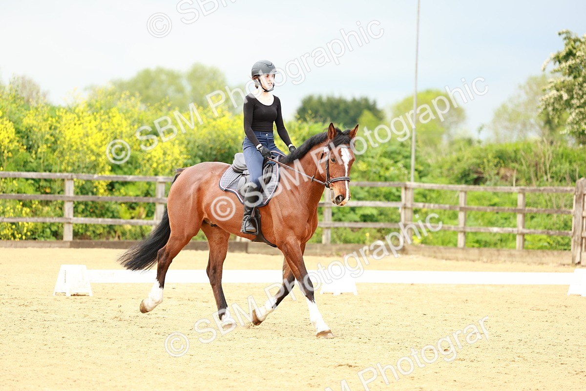 0B8A9312 - Class 5-4 - Novice 2-Prelim 3