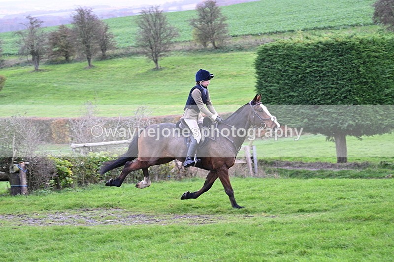 WJ7_9970 - Camera A