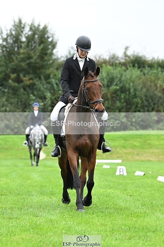 241024-110737-03147 - 504-Harry.Robinson-WHAT.A.WONDER