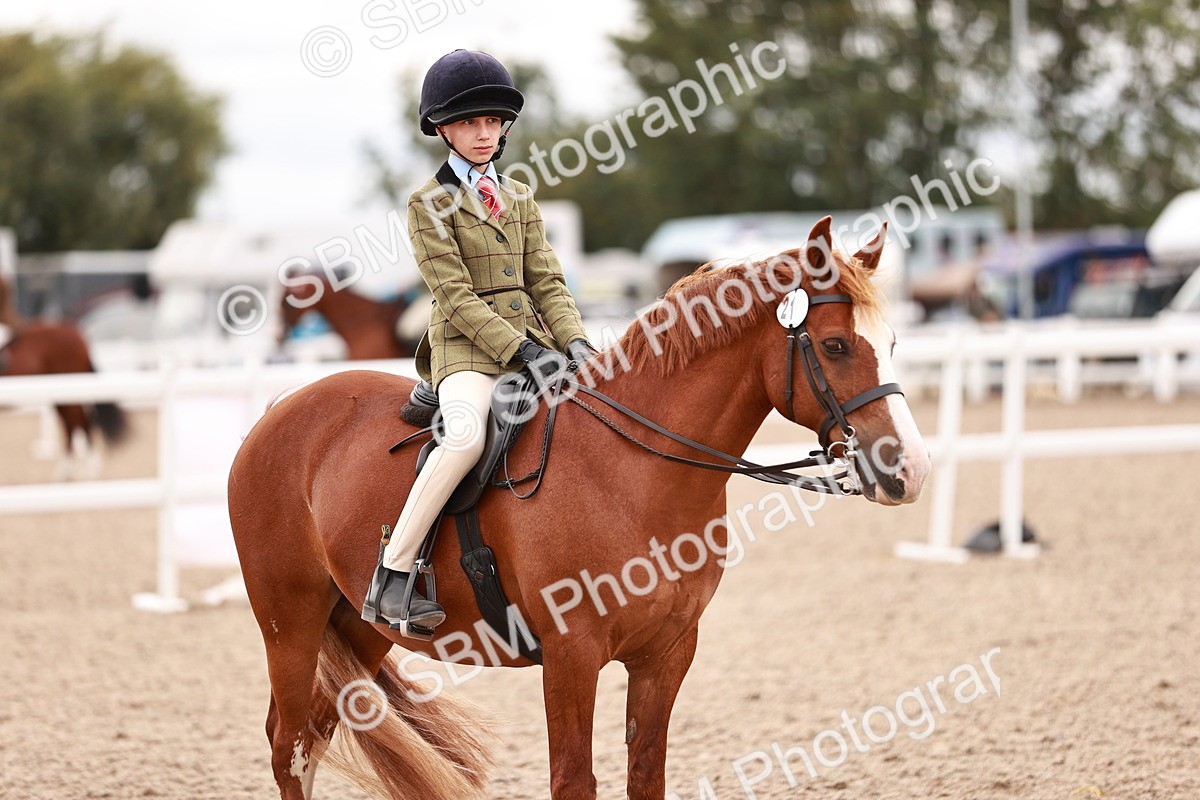 SBM_18587 - Class 421 - Childs Best Friend - Jnr