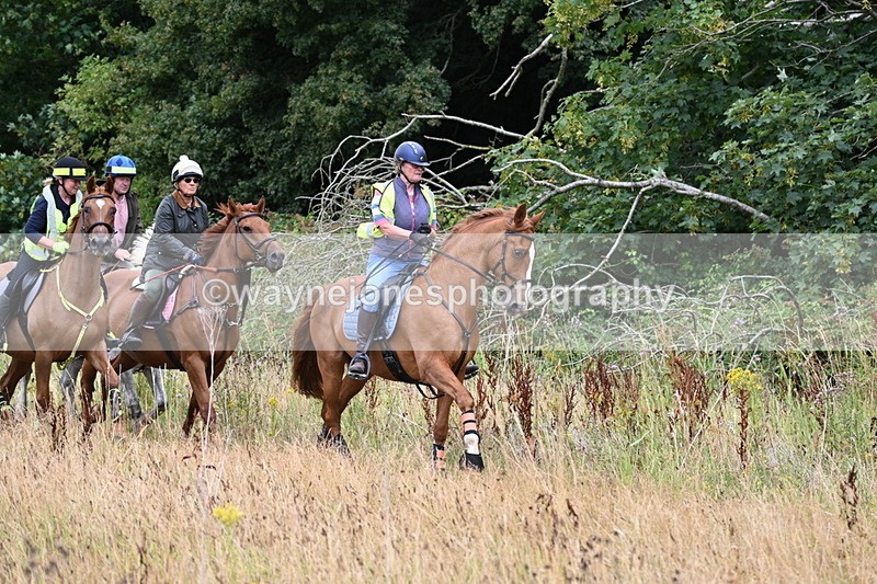 WJ6_2346 - Group 7
