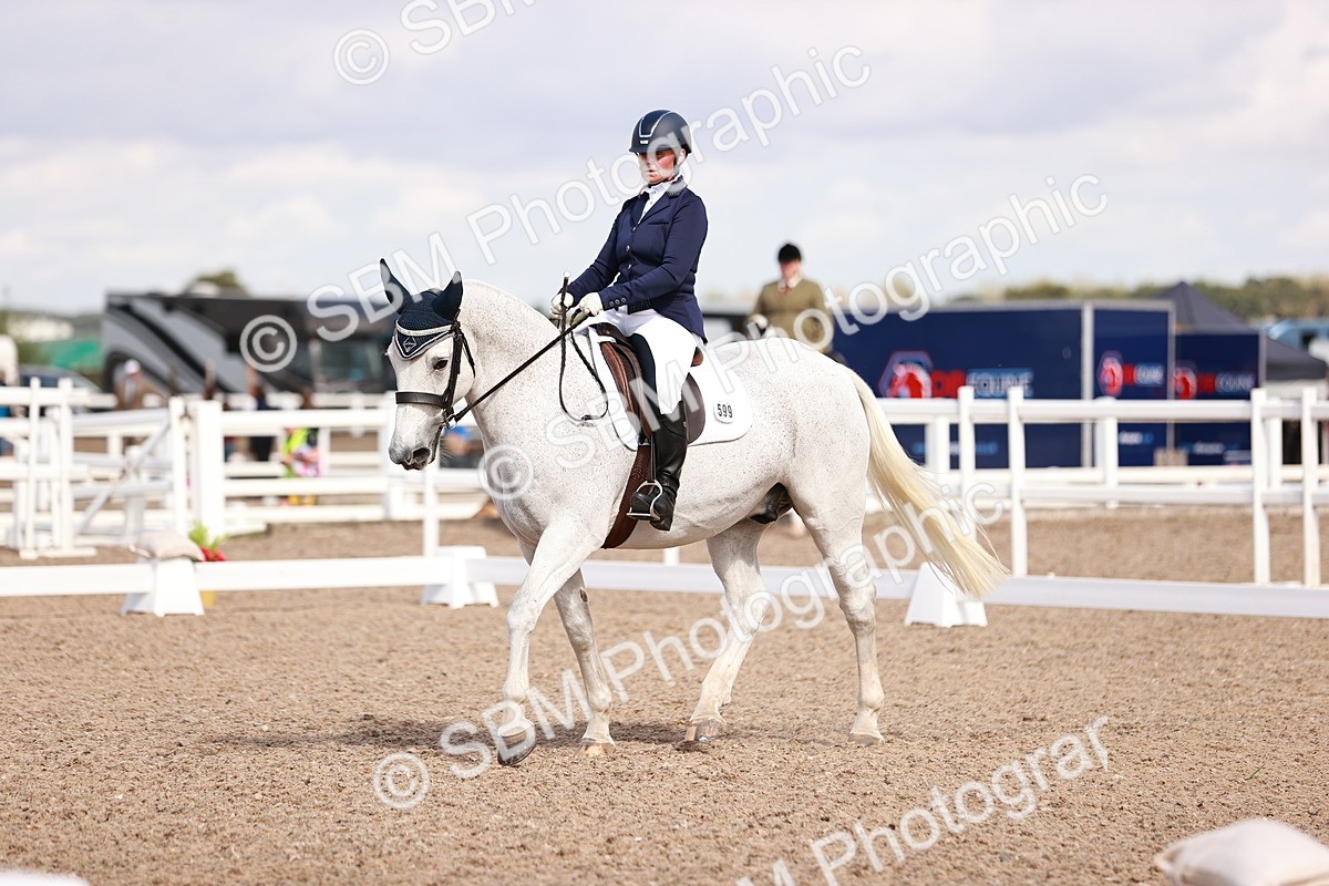 SBM_06561 - Class 39 - Medium 3